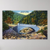 Mohawk Trail Uitzicht van de Koudrivierbrug Poster (Voorkant)