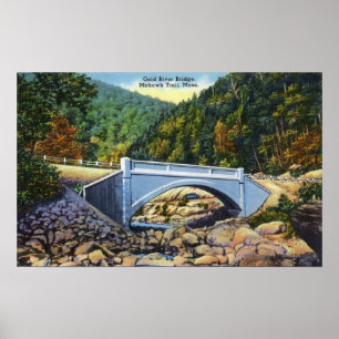 Mohawk Trail Uitzicht van de Koudrivierbrug Poster