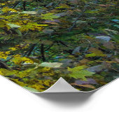 Mohican Gorge Overlook, Mohican State Park, Ohio Poster (Hoek)