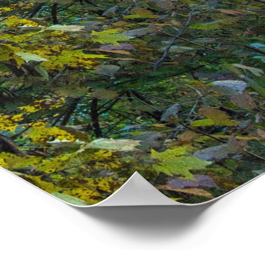 Mohican Gorge Overlook, Mohican State Park, Ohio Poster (Hoek)