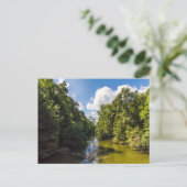 Mohican rivier in de zomer, Mohican State Park, Oh Briefkaart (Staand voorkant)