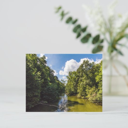 Mohican rivier in de zomer, Mohican State Park, Oh Briefkaart (Staand voorkant)