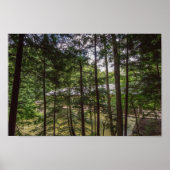 Mohican State Park's Covered Bridge, Ohio. Poster (Voorkant)