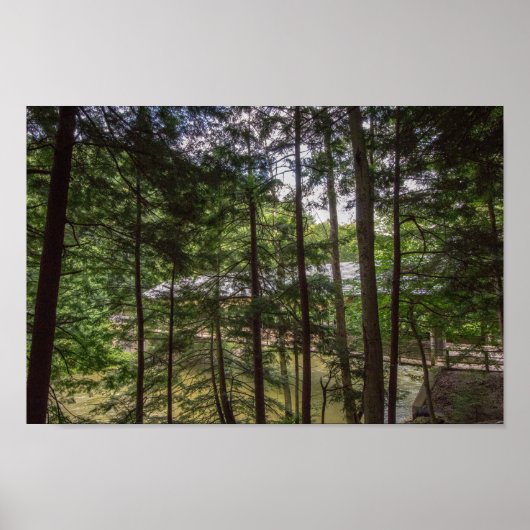 Mohican State Park's Covered Bridge, Ohio. Poster (Voorkant)