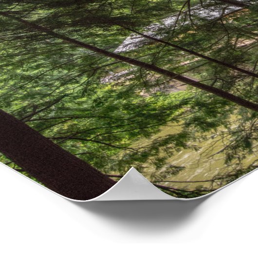 Mohican State Park's Covered Bridge, Ohio. Poster (Hoek)