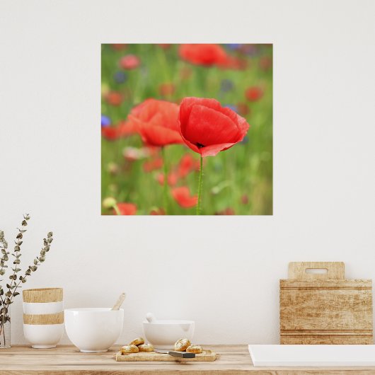 Mohn 2012 2 poster (Keuken)