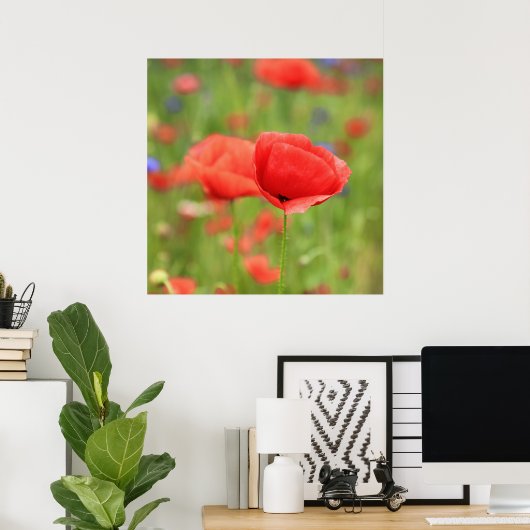 Mohn 2012 2 poster (Thuiskantoor)