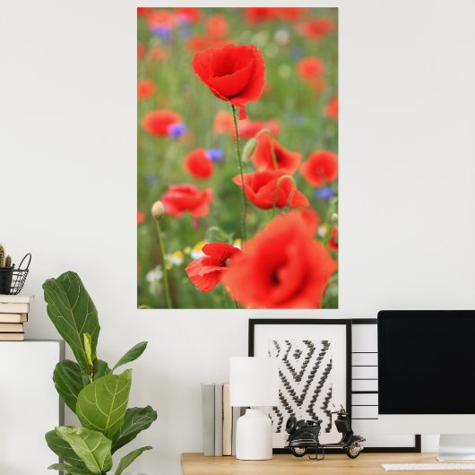 Mohn 2012 poster (Thuiskantoor)