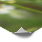 Mohn 2012 poster (Hoek)