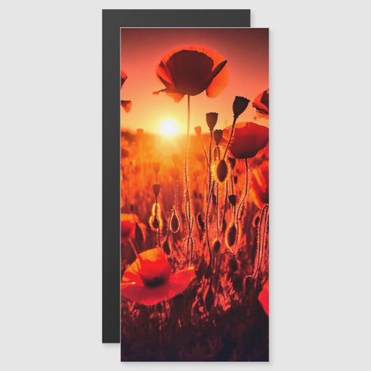 Mohn im Gegenlicht (Voorkant / Achterkant)