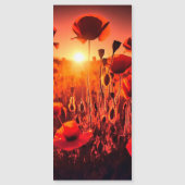 Mohn im Gegenlicht (Voorkant)