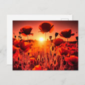 Mohn im Gegenlicht Feestdagenkaart (Voorkant / Achterkant)