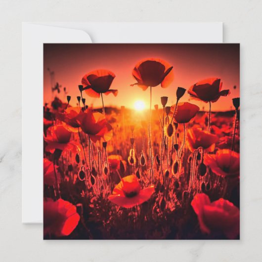Mohn im Gegenlicht Kaart (Voorkant)