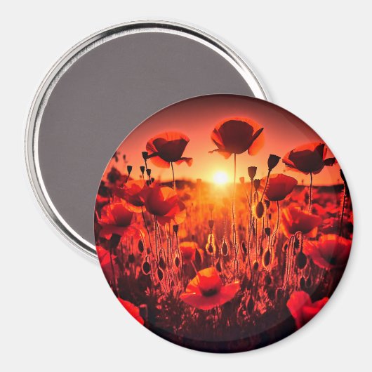 Mohn im Gegenlicht Magneet (Voorkant / Achterkant)