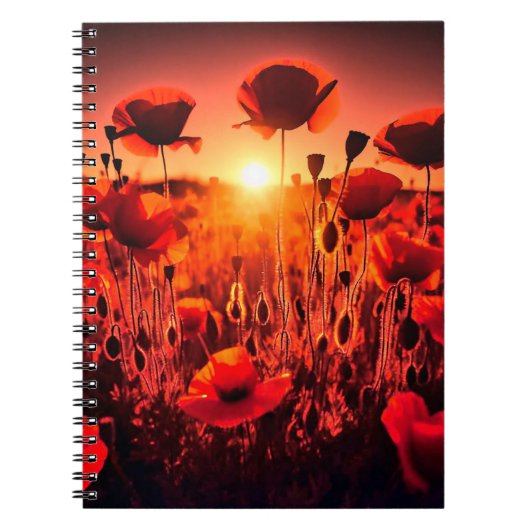 Mohn im Gegenlicht Notitieboek (Voorkant)