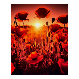 Mohn im Gegenlicht Perfect Poster
