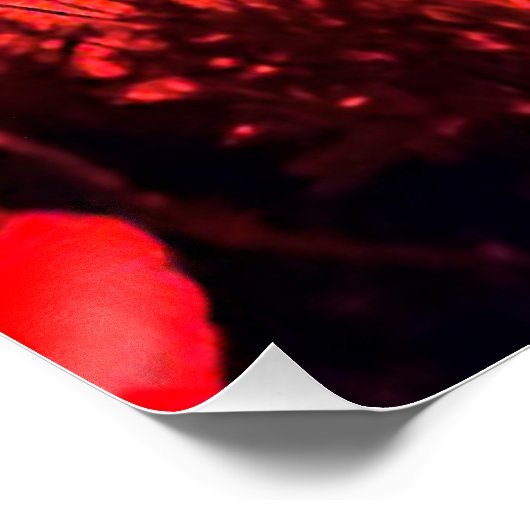 Mohn im Gegenlicht Perfect Poster (Hoek)