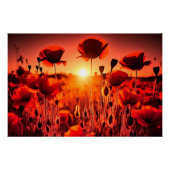 Mohn im Gegenlicht Perfect Poster (Voorkant)
