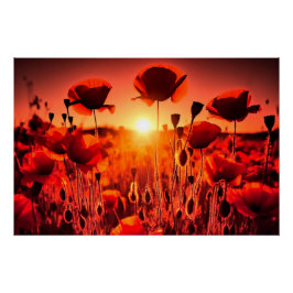 Mohn im Gegenlicht Perfect Poster