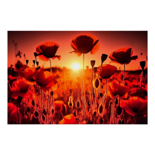 Mohn im Gegenlicht Perfect Poster (Voorkant)