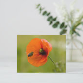 Mohn mit Biene Briefkaart (Staand voorkant)