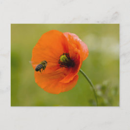 Mohn mit Biene Briefkaart