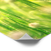 Mohn Traum Poster (Hoek)