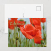 Mohnblumen Briefkaart (Voorkant / Achterkant)