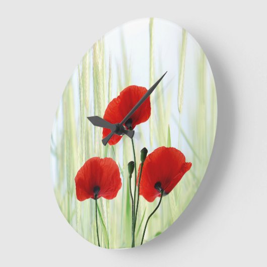 Mohnblumen Grote Klok (Hoek)