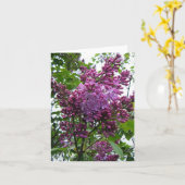 "Moi van seringen chez " Kaart (Gele Bloem)