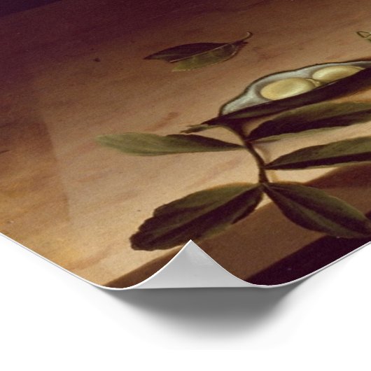 moillon - mand van vruchten en een smeerlap van as poster (Hoek)