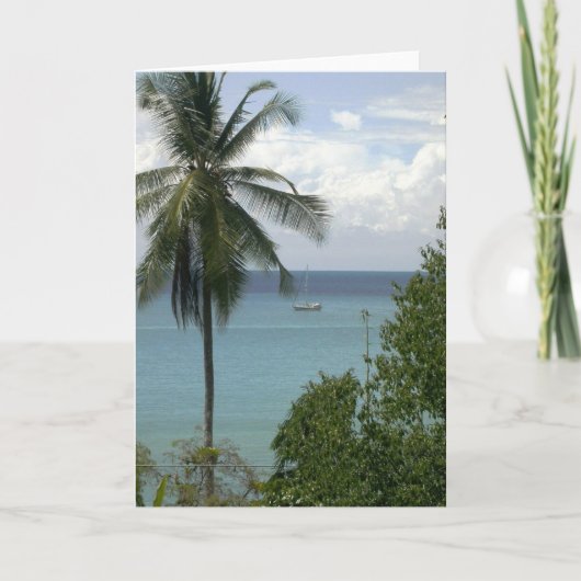 Moira bij anker, de Mannetjeseend van Bahia, Costa Kaart (Voorkant)