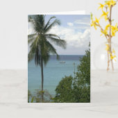 Moira bij anker, de Mannetjeseend van Bahia, Costa Kaart (Gele Bloem)