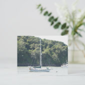 Moira over aanmeren, Angel Island, San Francisco Briefkaart (Staand voorkant)