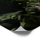 Moira voor anker, Bahia Drake, Costa Rica Poster (Hoek)