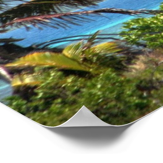 Moira voor anker, Josh Key, Guanaja, Honduras Poster (Hoek)