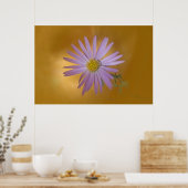 Mojave Aster Wildflower Poster (Keuken)