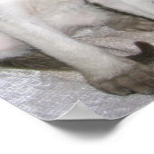 Mojave de Grote Poster (Hoek)