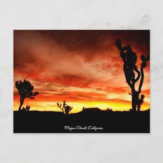 Mojave Desert, Californië Briefkaart