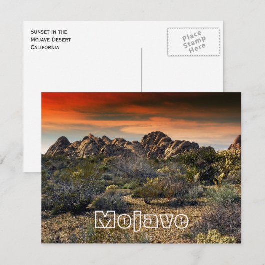 Mojave Desert, Californië Briefkaart (Voorkant / Achterkant)