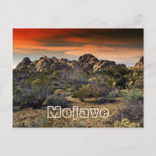 Mojave Desert, Californië Briefkaart (Voorkant)