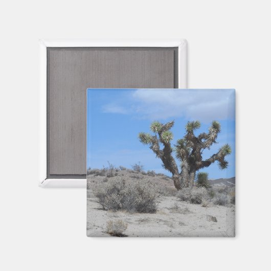 Mojave Desert Magneet (Voorkant / Achterkant)