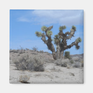 Mojave Desert Magneet