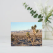 Mojave Desert scene 01 Briefkaart (Staand voorkant)