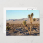 Mojave Desert scene 01 Briefkaart (Voorkant / Achterkant)