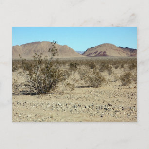 Mojave Desert scene 02 Briefkaart