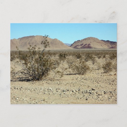 Mojave Desert scene 02 Briefkaart (Voorkant)