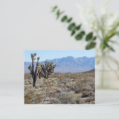 Mojave Desert scene 03 Briefkaart (Staand voorkant)