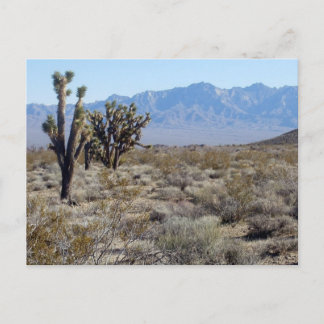 Mojave Desert scene 03 Briefkaart