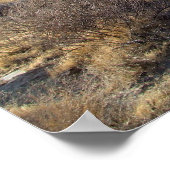 Mojave Desert scène 05 Poster (Hoek)